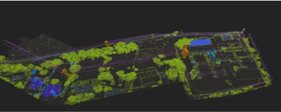 Lidar Point Cloud Classification For Vegetation Management